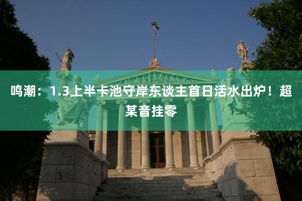 鸣潮：1.3上半卡池守岸东谈主首日活水出炉！超某音挂零