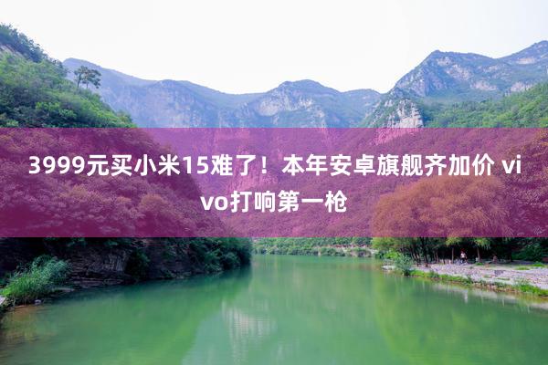3999元买小米15难了！本年安卓旗舰齐加价 vivo打响第一枪