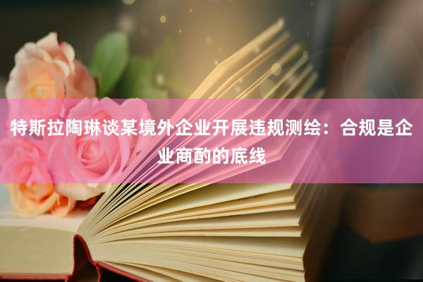 特斯拉陶琳谈某境外企业开展违规测绘：合规是企业商酌的底线