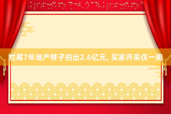 烂尾7年地产样子拍出2.6亿元, 买家开采仅一周