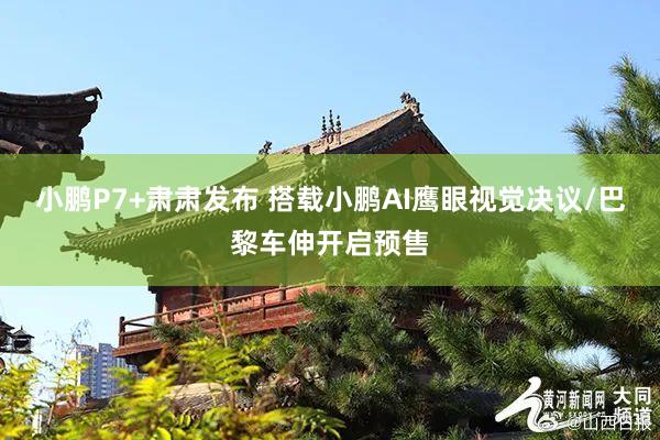 小鹏P7+肃肃发布 搭载小鹏AI鹰眼视觉决议/巴黎车伸开启预售