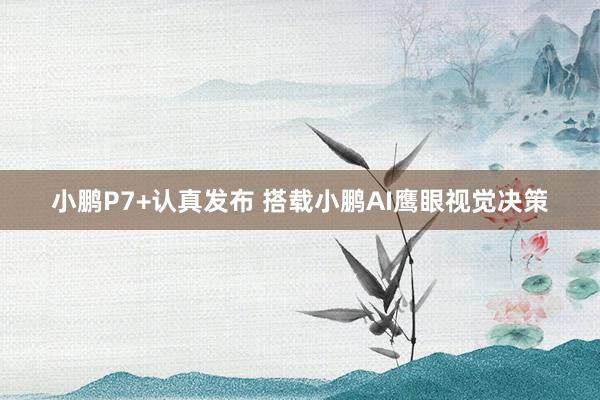 小鹏P7+认真发布 搭载小鹏AI鹰眼视觉决策