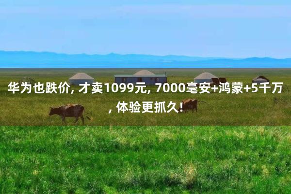 华为也跌价, 才卖1099元, 7000毫安+鸿蒙+5千万, 体验更抓久!