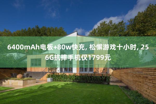 6400mAh电板+80w快充, 松懈游戏十小时, 256G抗摔手机仅1799元