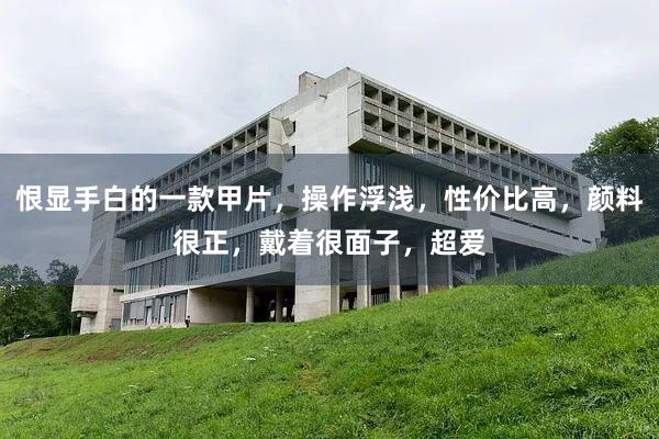 恨显手白的一款甲片，操作浮浅，性价比高，颜料很正，戴着很面子，超爱