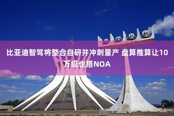 比亚迪智驾将整合自研并冲刺量产 盘算推算让10万级也搭NOA