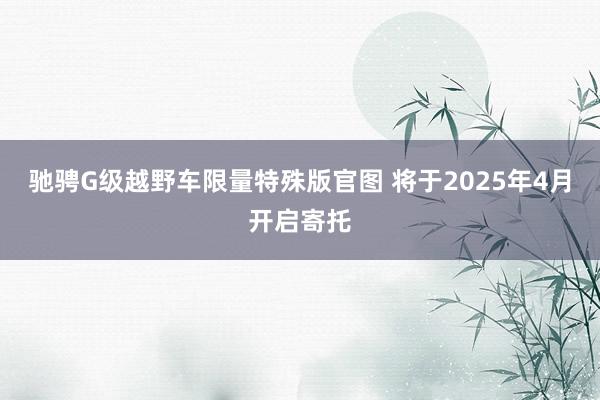 驰骋G级越野车限量特殊版官图 将于2025年4月开启寄托
